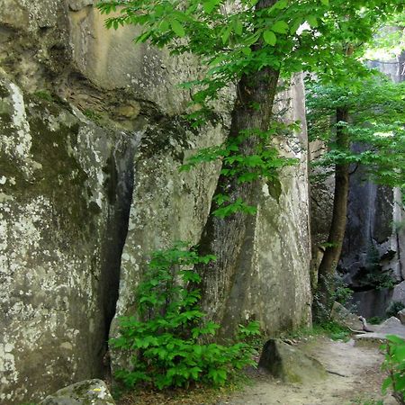 Les Callunes Anciennement Le Beausejour Annot Exterior foto
