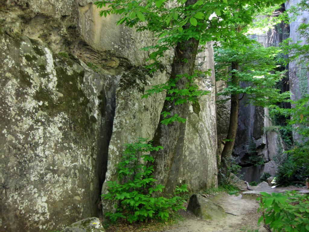 Les Callunes Anciennement Le Beausejour Annot Exterior foto